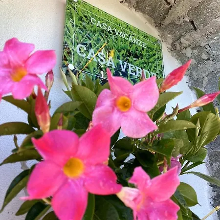 Casa Verde, Dongo, Di